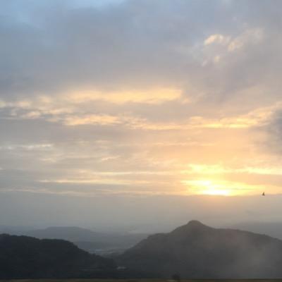 advocatedrmore's profile picture. 