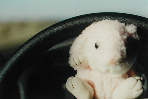 khanscom's profile picture. Reader, teacher, runner.