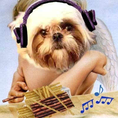 MattieDogNo2's profile picture. Hi everyone, it's me @mattiedog! This is my second Twitter account that I use when I'm tossed in Twitter pwison for too much tweetin!