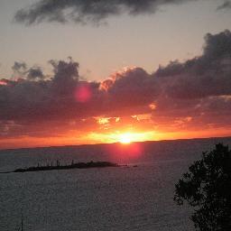 comingessympa's profile picture. 