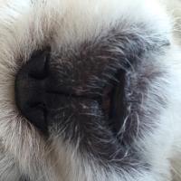 Ceren Kayahan (@turpckk) 's Twitter Profile
