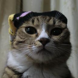 アカハラ Akaharaaam Twitter アカハラ Akaharaaam Twitter