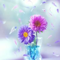 دُنيا فانيه * (@1111smiley) Twitter profile photo
