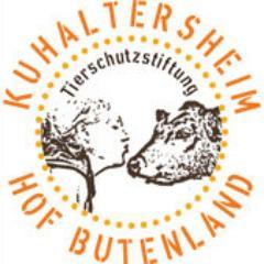 We rescue and provide lifelong care for animals that have been saved from slaughter, neglect, exploitation and abuse. Hof Butenland is their lifetime home now.