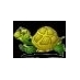 TurtlePower1 (@turtlepower1) Twitter profile photo