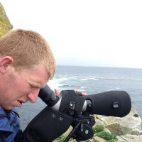 Mark Breaks (@m_birder_breaks) 's Twitter Profile