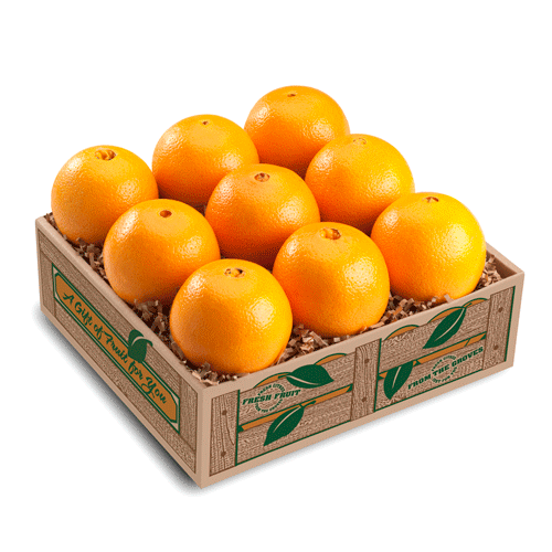 Shipping gift-grade Florida Oranges, Ruby Red Grapefruit & unique Fruit Basket gifts since 1946. Hailing from Vero Beach, FL. Family and Veteran-owned/operated.