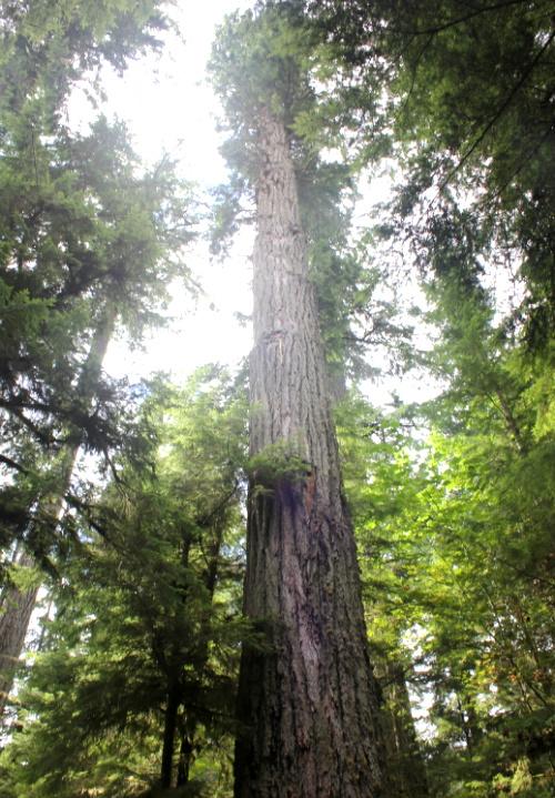 jangguru97's profile picture. 큰그루~ 장그루~ 멋지게~ 멋나게~ 맞팔환영! 맞팔100% #tbre