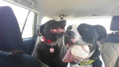 aehrensaft's profile picture. oh the places you will go... -Dr. Suess