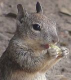 donna8157's profile picture. 