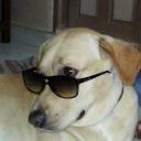 kondeti prasanth (@024Prasanth) Twitter