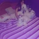 carlomagno maria ale (@57Carlomagno) Twitter