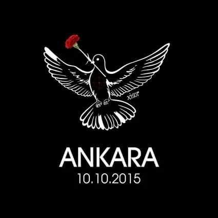 a87528abb1dd446's profile picture. 