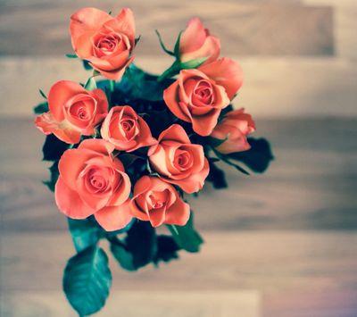 edanurlo's profile picture. 