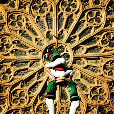 rafadearaoz's profile picture. Gausac. Teatre i música. Fan del bon gust, la bona educació, els bons amics i de menjar bé. I, per sobre de tot, de la meva família.