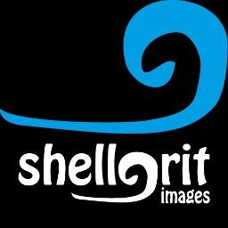 shellgrit's profile picture. 