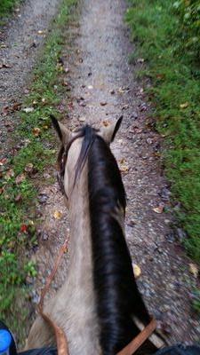 cowgirltrails72's profile picture. 