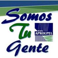 SomosTuGente (@aproupel7) 's Twitter Profile