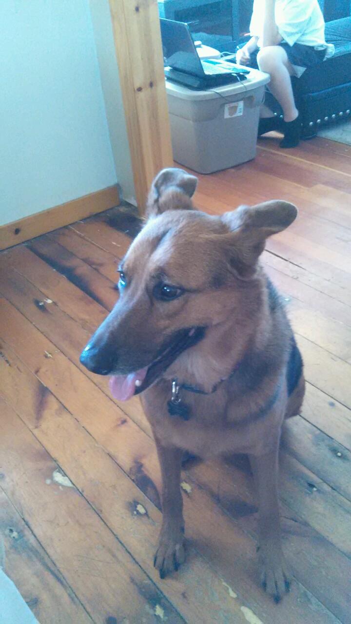 BahmanTara's profile picture. 