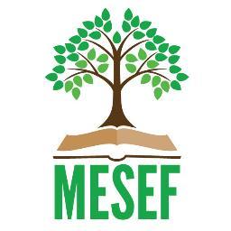 The MESEF was established with the purpose of enhancing the educational experience for students of Manasquan Elementary.  Read more at https://t.co/GiJHl2t6te