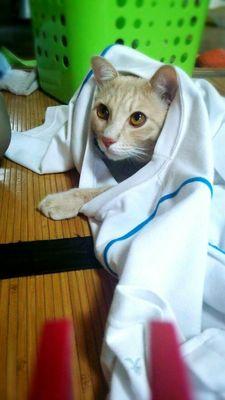 HAISE0715's profile picture. 