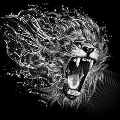 GraphicD_SA's profile picture. professional Graphic Design service, request your free Quote today. email: graphic.drsa@gmail.com