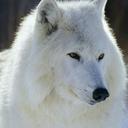 Marina Kunz - @kara02kunz - Twitter