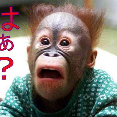 monkeymagic1210's profile picture. 