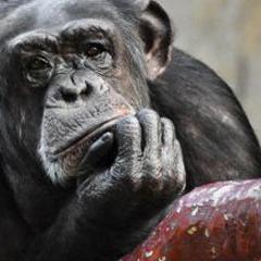 WaereSchoen's profile picture. Vertane Zeit ist vertane Zeit..