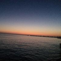 Toni Sureda Sintes (@tsureda4) 's Twitter Profile