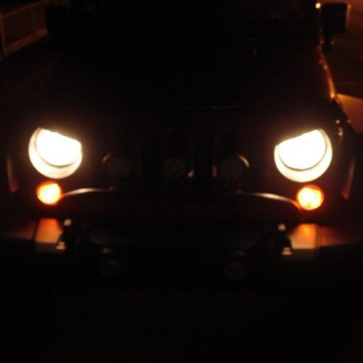 CatWildcat11's profile picture. 