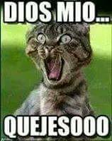 AkolatronicMic's profile picture. 