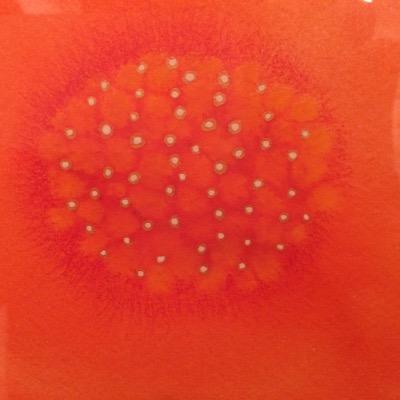 谷口広樹さんのプロフィール画像