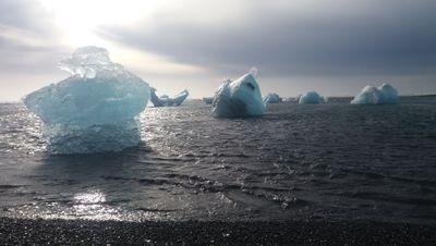 RiccardoPoglia1's profile picture. 