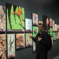 Bryce McQuillan (@bryce_mcquillan) 's Twitter Profile Photo