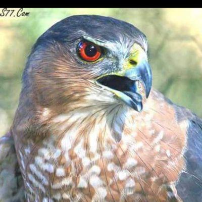 Y10nu8YDhJxlujV's profile picture. 