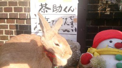 千葉住み。カラオケ命！都内ダメリーマン。このままでは駄目だと思いネットビジネスをはじめました。私のようなダメなサラリーマンでも稼げた秘密についてお話します。気になる方はDMも受け付けます。 メルマガに登録してくれた方だけにプレゼントなどを用意します。