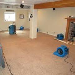 24/7. Free Estimates. Local Water Damage, Fire Damage and Mold Removal in all 50 States.