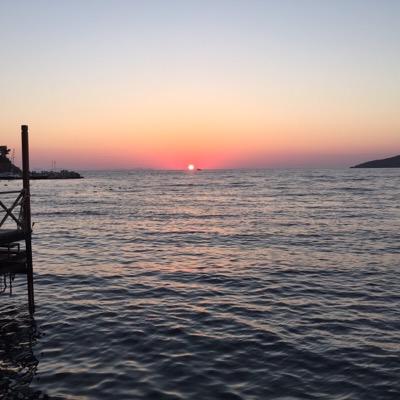 emine_fetvaci's profile picture. Norma Jean Calderwood University Professor of Islamic and Asian Art @BostonCollege