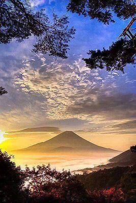 SamuelArunKuma5's profile picture. 