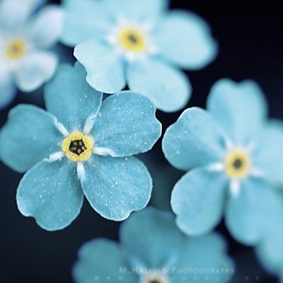 Surabhi175's profile picture. UCSC ‘22💙💛