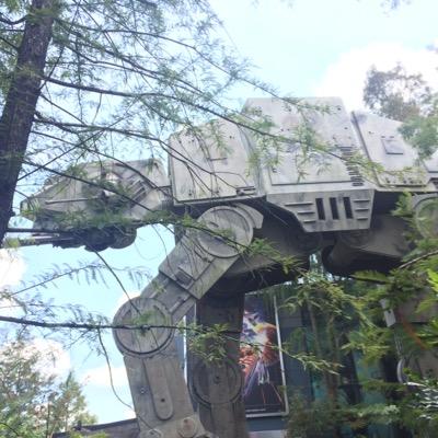 dmtflo's profile picture. 