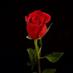 opium44 (@opium65) Twitter profile photo opium44 (@opium65) Twitter profile photo