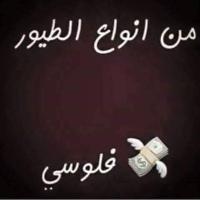 الشفق الهادي (+) (@aa44aa444) 's Twitter Profile