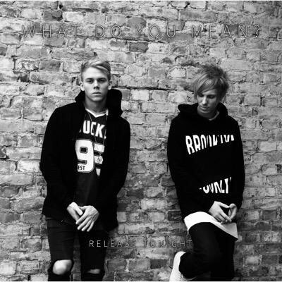 this is the only fanacount of DotSE from belgium , we love you guys so much! @adam_dotse @SamDanielsson @johanhammenfors and @dotSEmusic