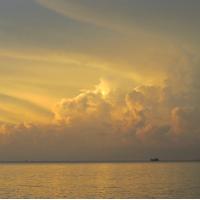 Austin Gibbs (@doceyebrow) 's Twitter Profile