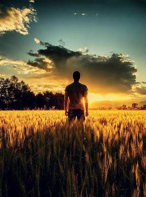 MoggeWieringen's profile picture. Voor democratie en het behoud van eigen cultuur. If you wish peace, then get prepared for war.