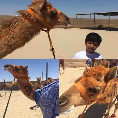 كل يوم الشوق عندي لك يزيد.وانت في راحات عني ما تسال