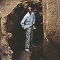 rabbitee (@80) 's Twitter Profile