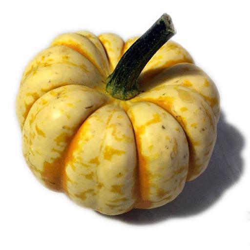 Art_Zoffany's profile picture. News and images from around the (art)world